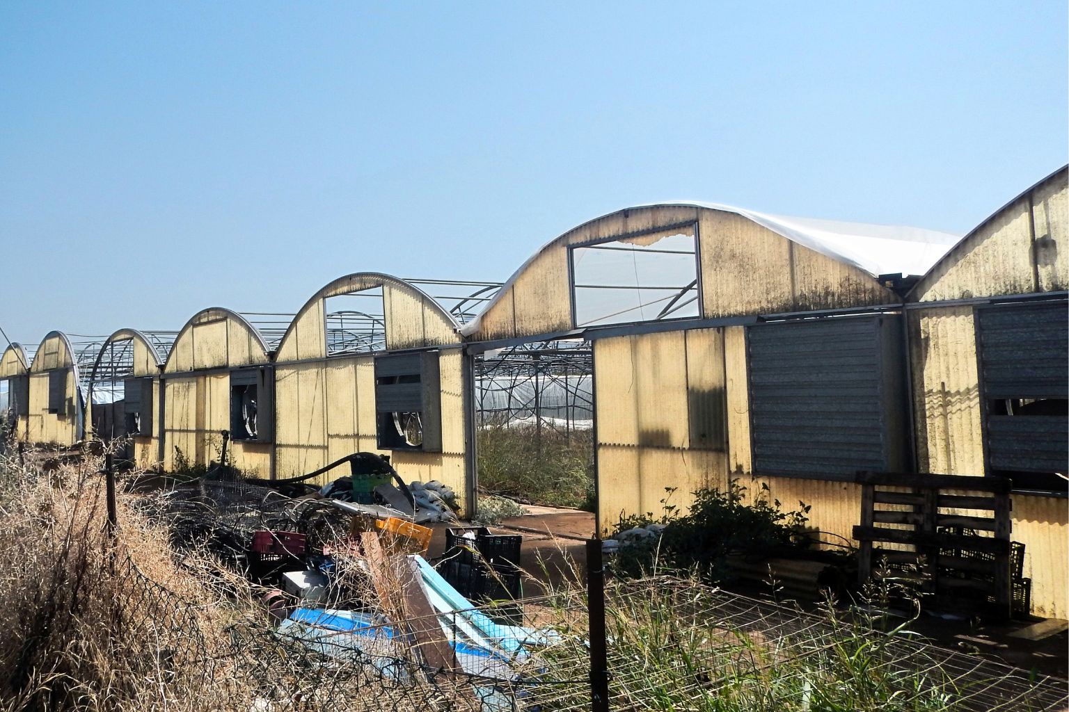 The Hidden Costs of Blindly Following ‘Expert’ Advice in Agriculture